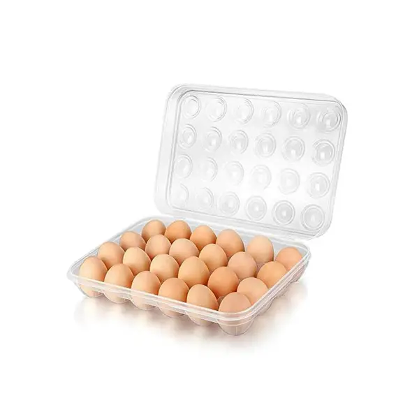 Formosa Clear Plastic 24-Egg Holder for Fridge Organisation